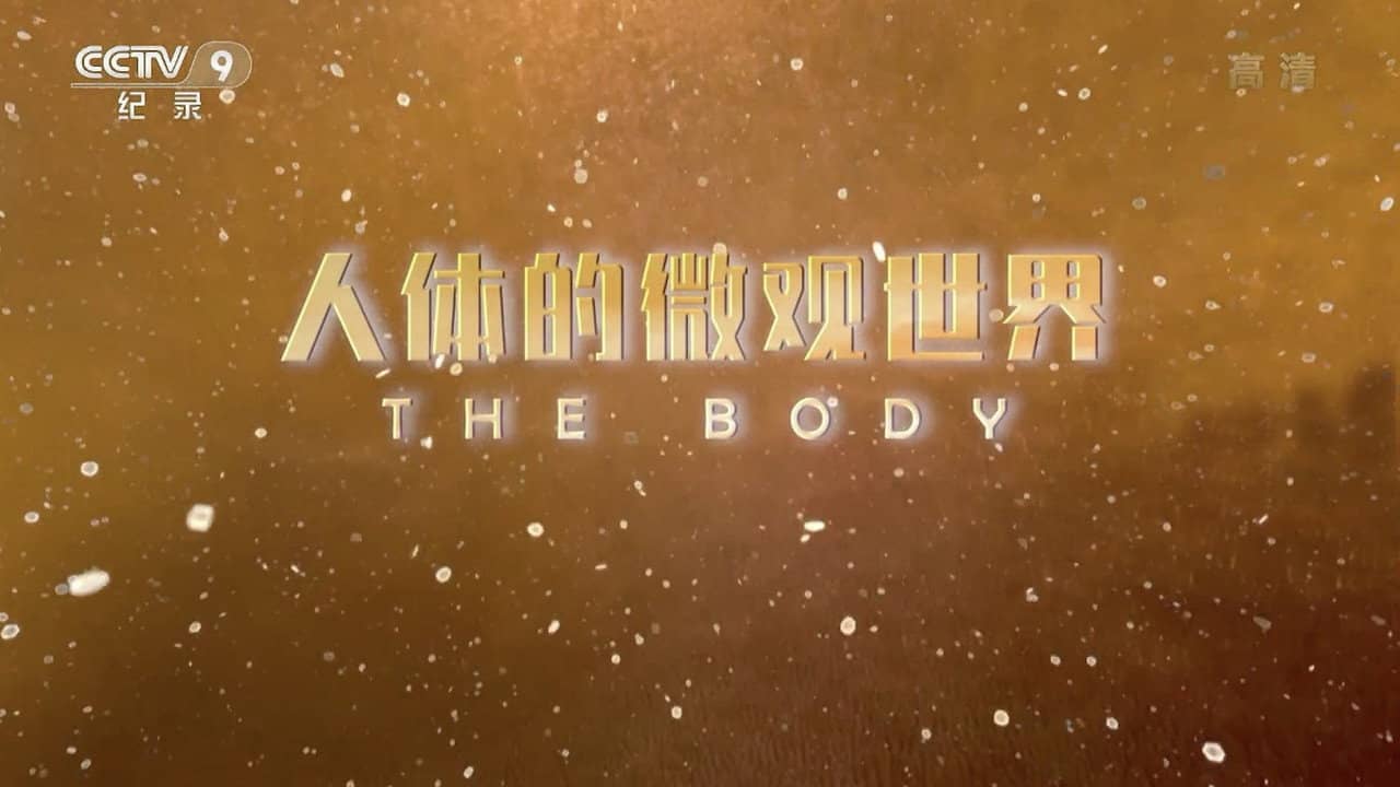 人体的微观世界 backdrop
