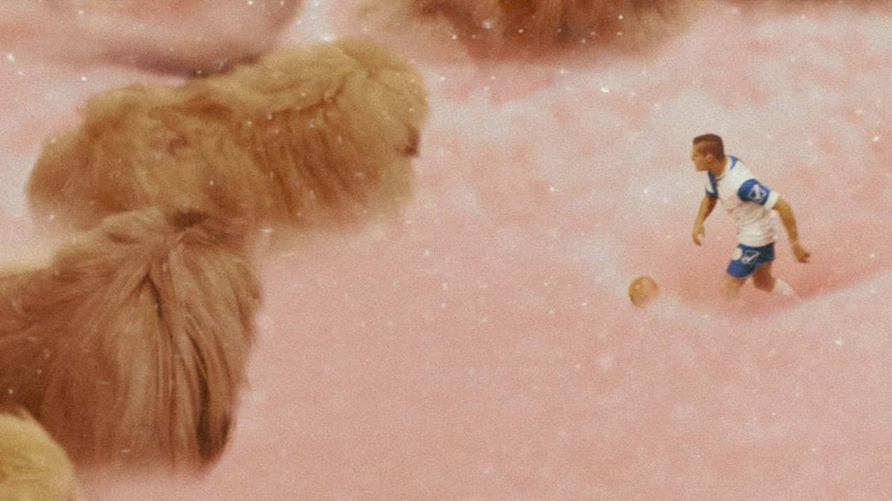 Diamantino backdrop