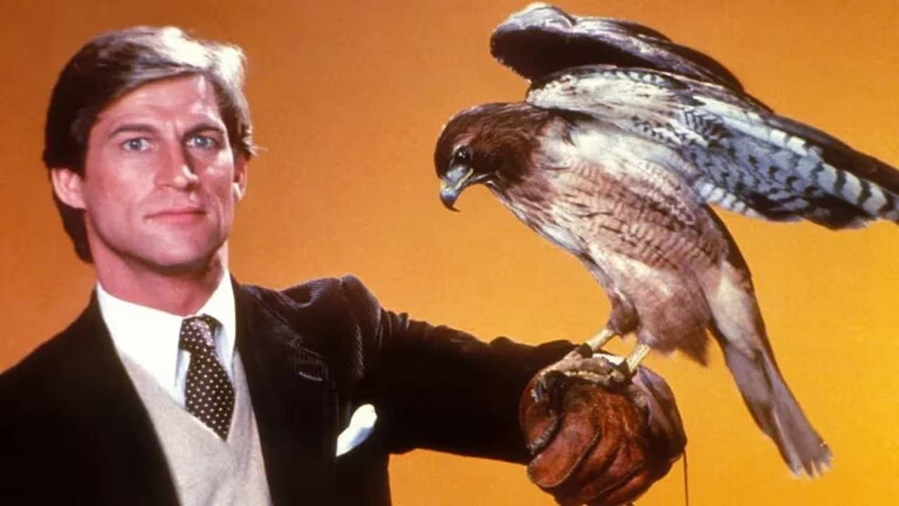 Manimal backdrop