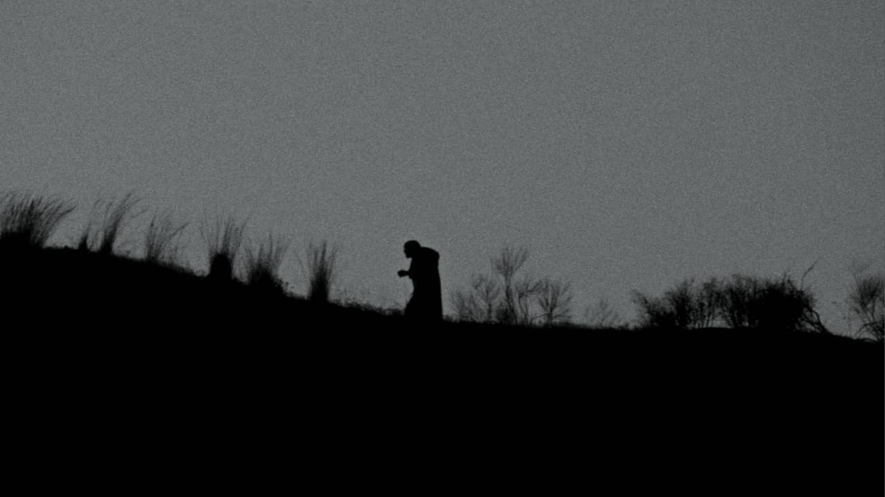 El Caballero y el Fantasma backdrop