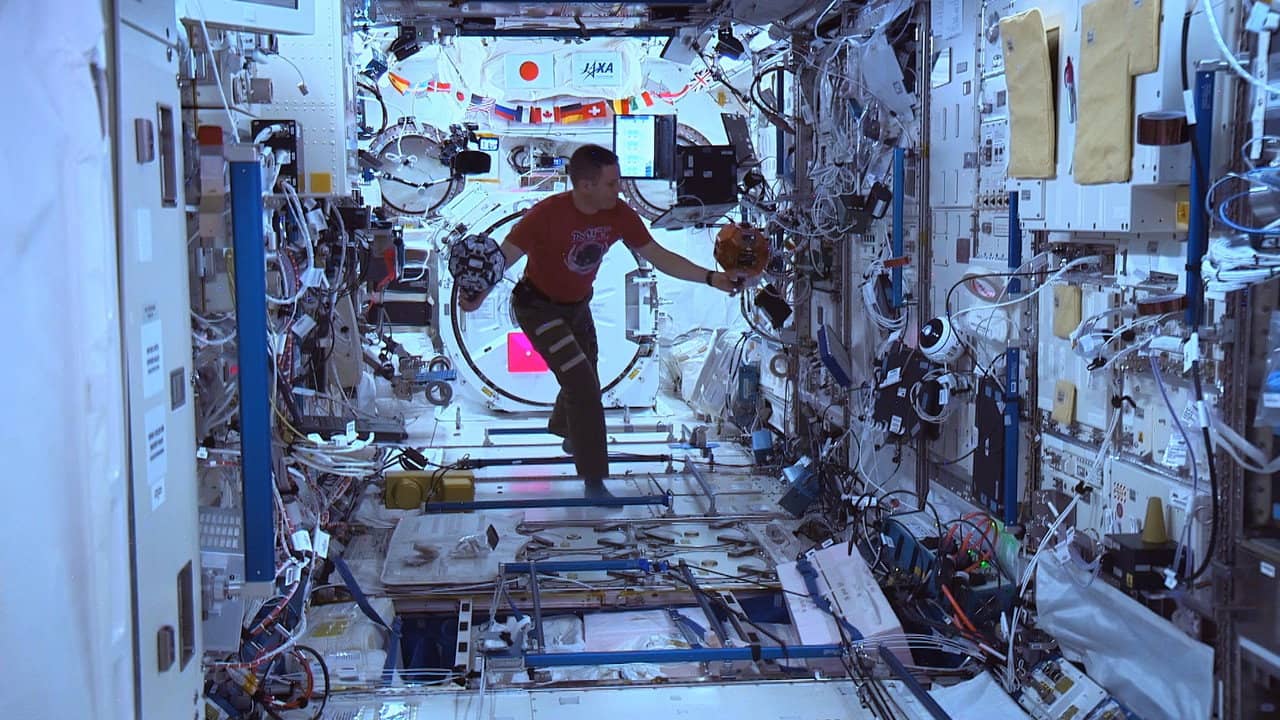 Zero Gravity backdrop