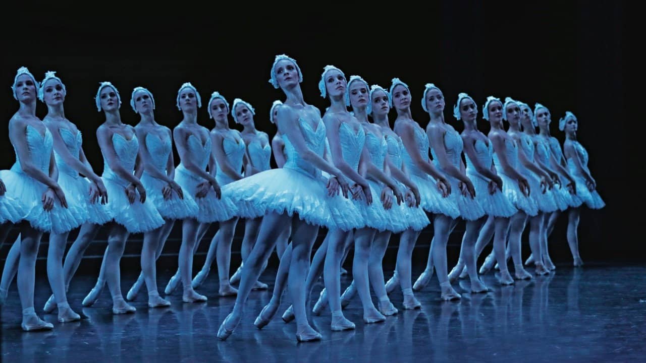 Le lac des cygnes au théâtre national de Chaillot backdrop