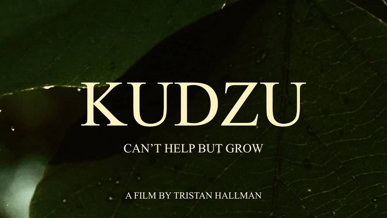 Kudzu Can't Help But Grow backdrop