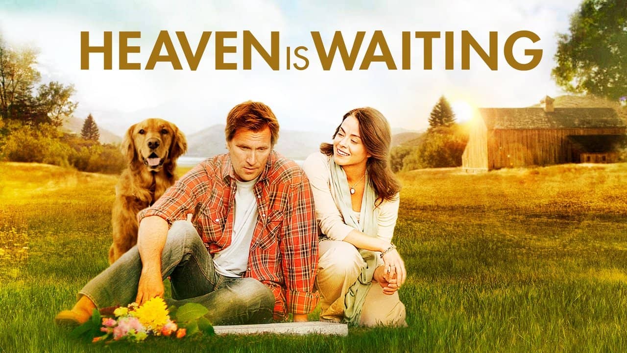 Midway to Heaven backdrop