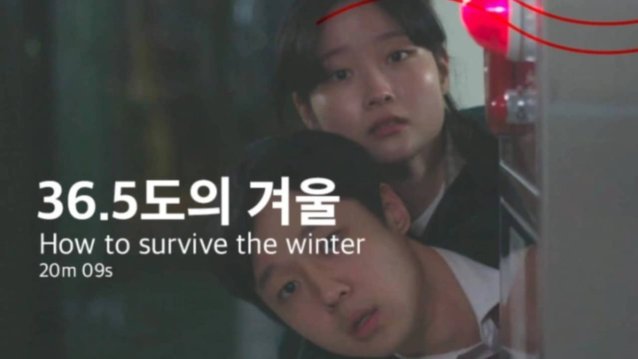 How to survive the winter backdrop
