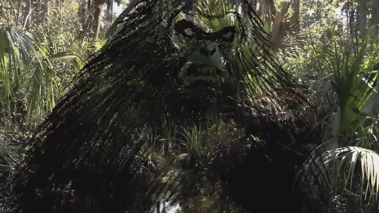 The Skunk Ape Lives backdrop