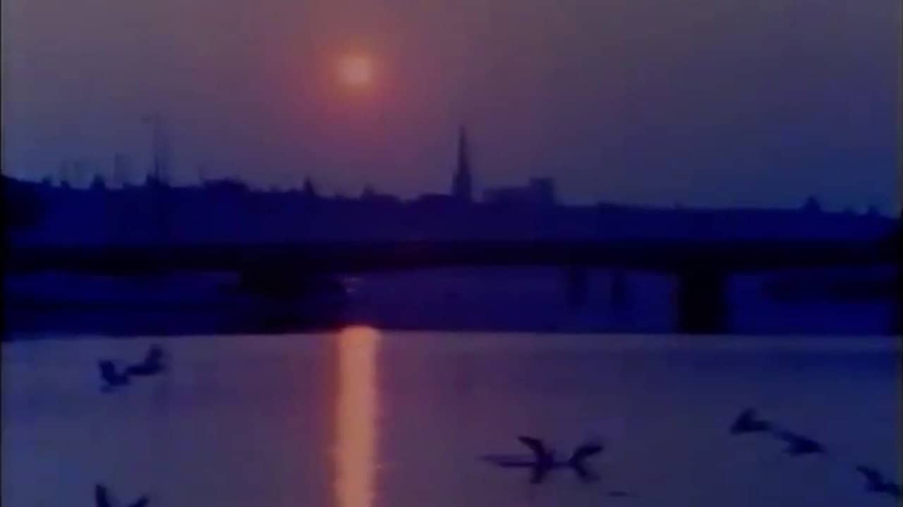 Portrait: A Film of Stockholm backdrop