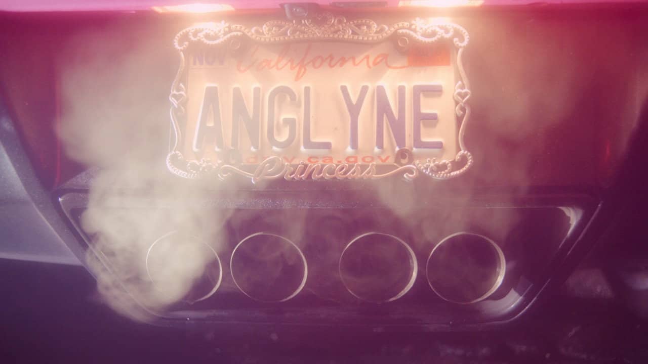 Amazing Angelyne backdrop