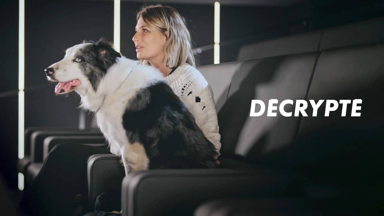 Décrypté backdrop