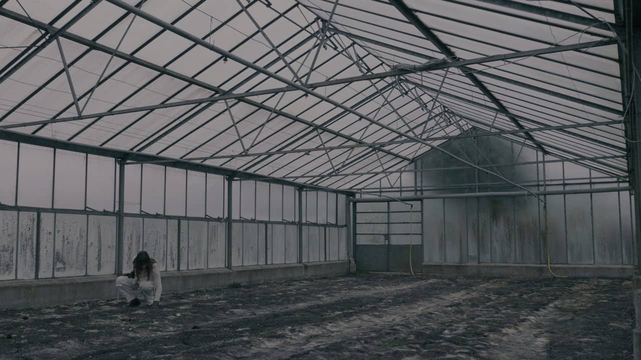 BLOOM - A Dystopian Short Film backdrop