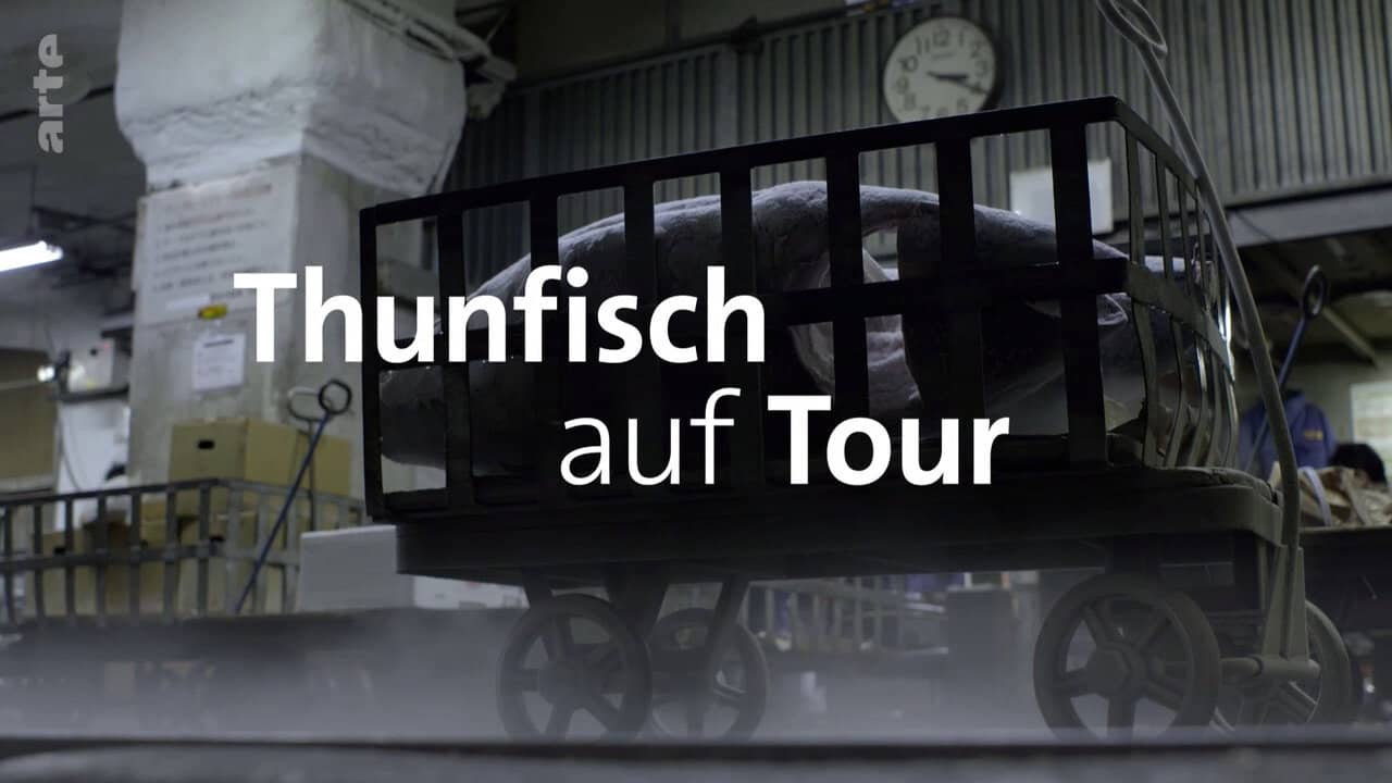 Tuna on Tour backdrop