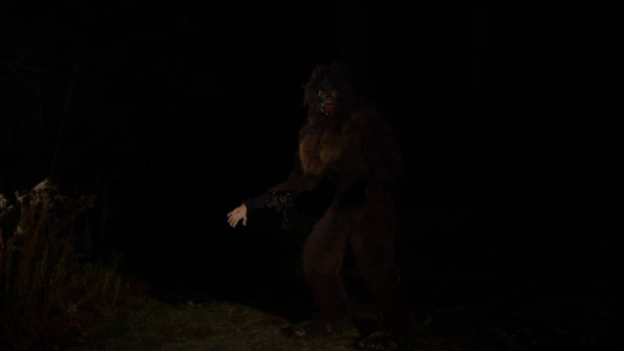 Bigfoot The Movie backdrop