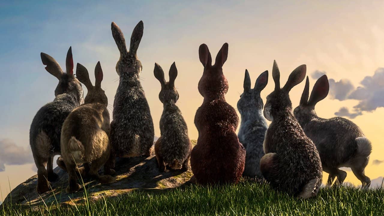 Watership Down backdrop