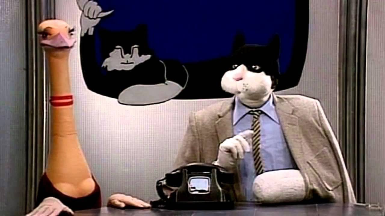 Telecat backdrop