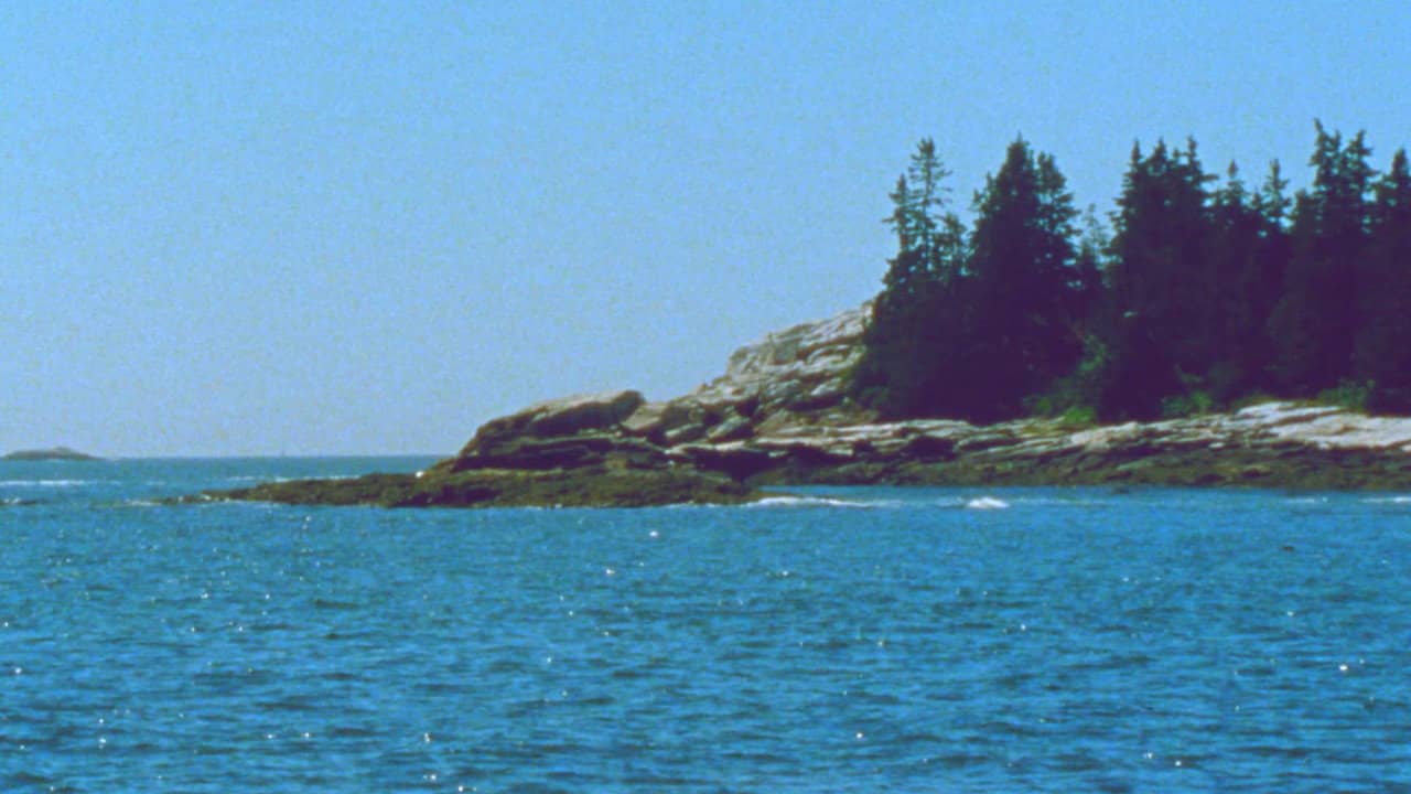 The Seashore backdrop