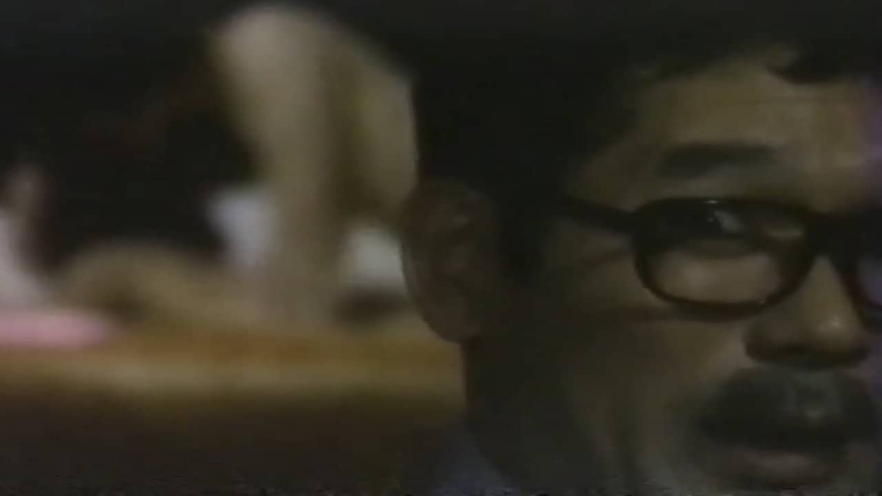 Semi‑Documentary: An Introduction to Pubic Hair Physiognomy backdrop