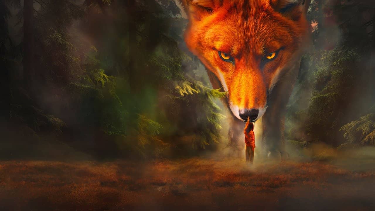 How to Tame a Fox backdrop