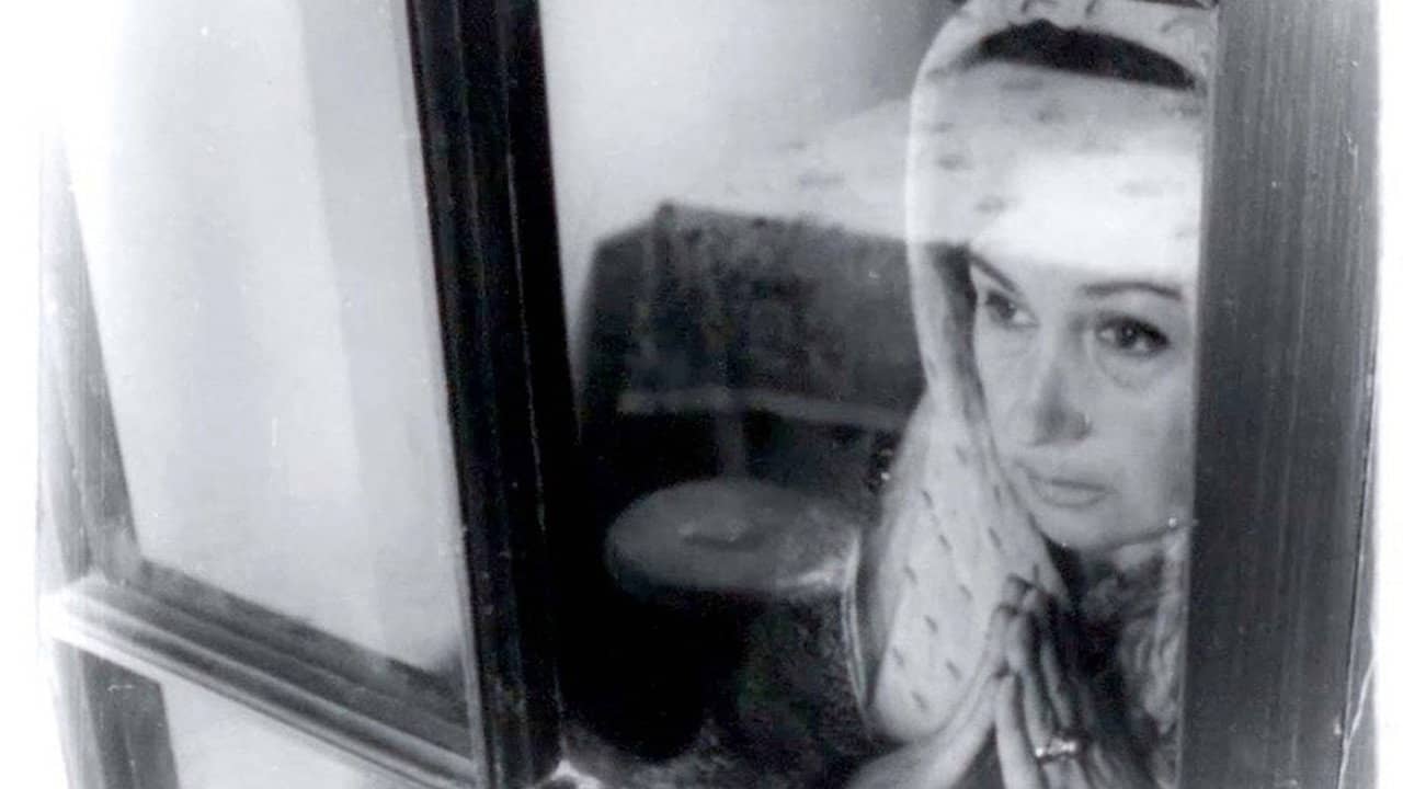 The Tango of the Widower and Its Distorting Mirror backdrop