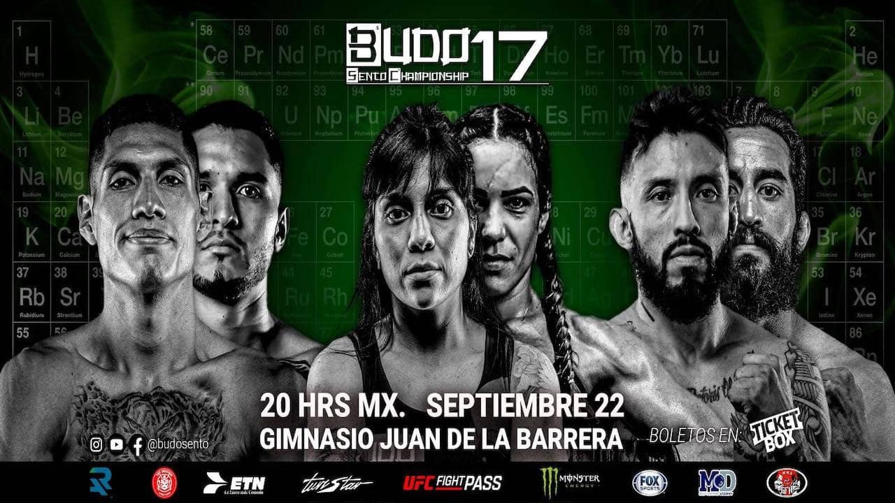 Budo Sento Championship 17 backdrop