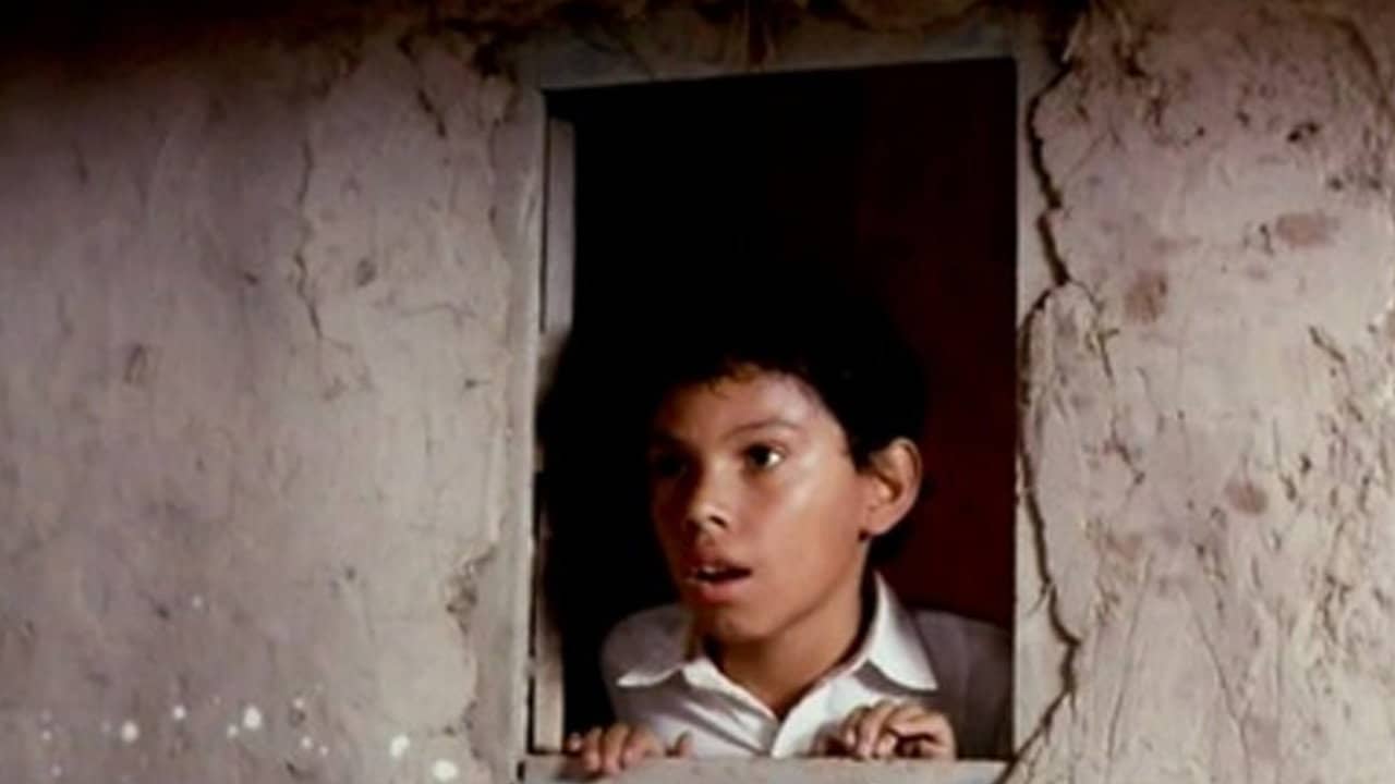 El señor de los pájaros backdrop