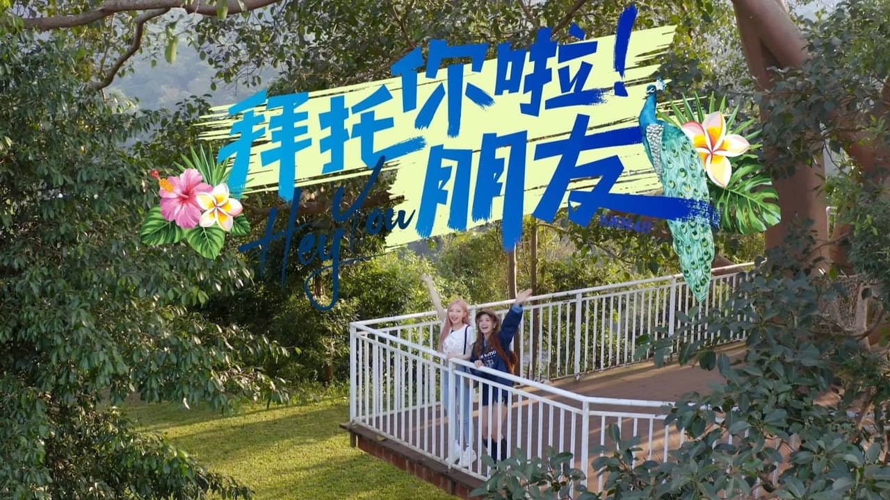 拜托你啦!朋友 backdrop