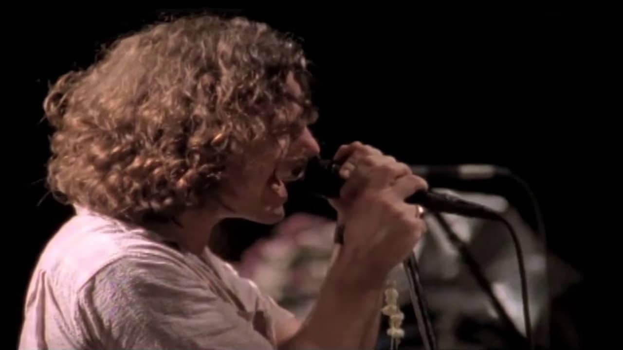 Pearl Jam: Sponsored By No One - 1995 Tour Film backdrop