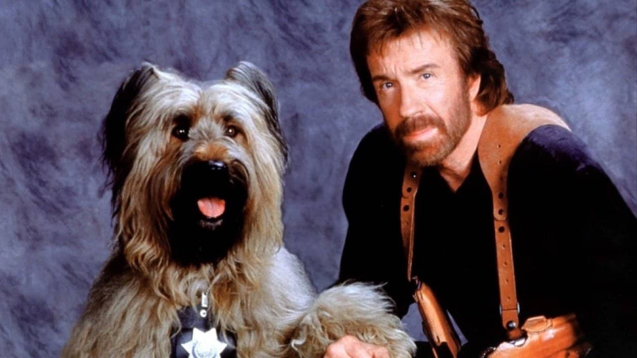 Top Dog backdrop