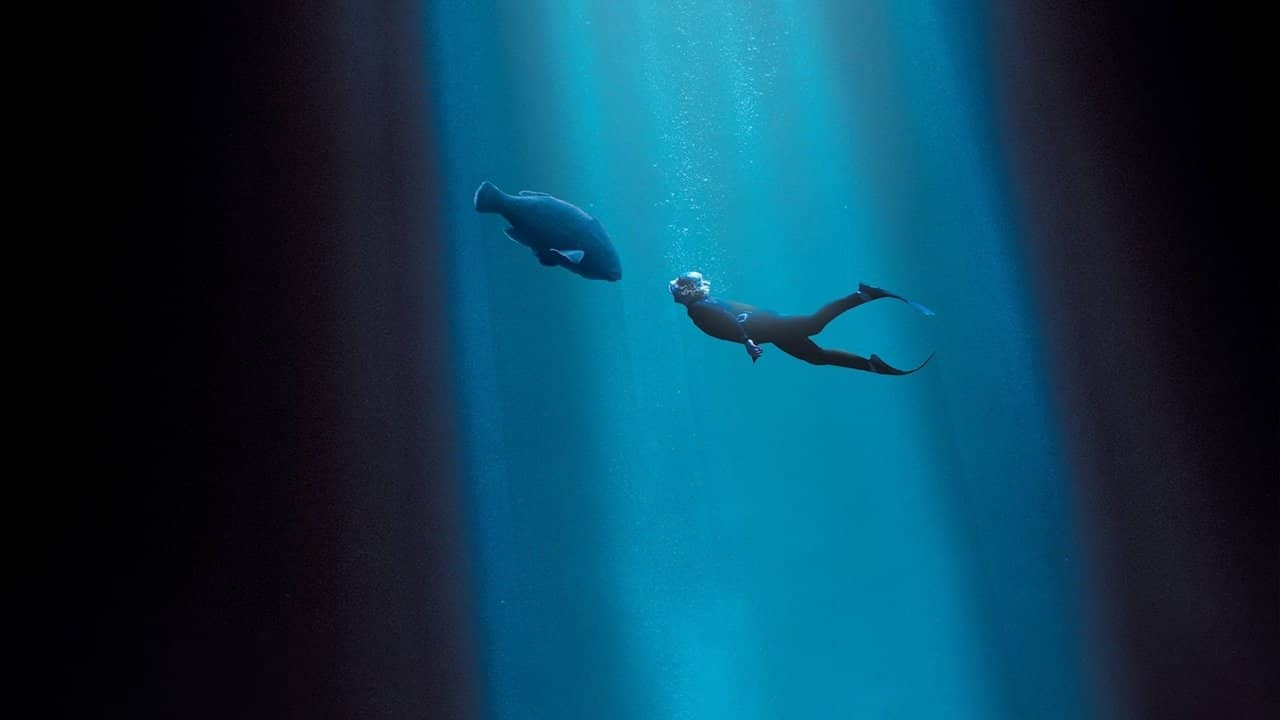 Blueback backdrop