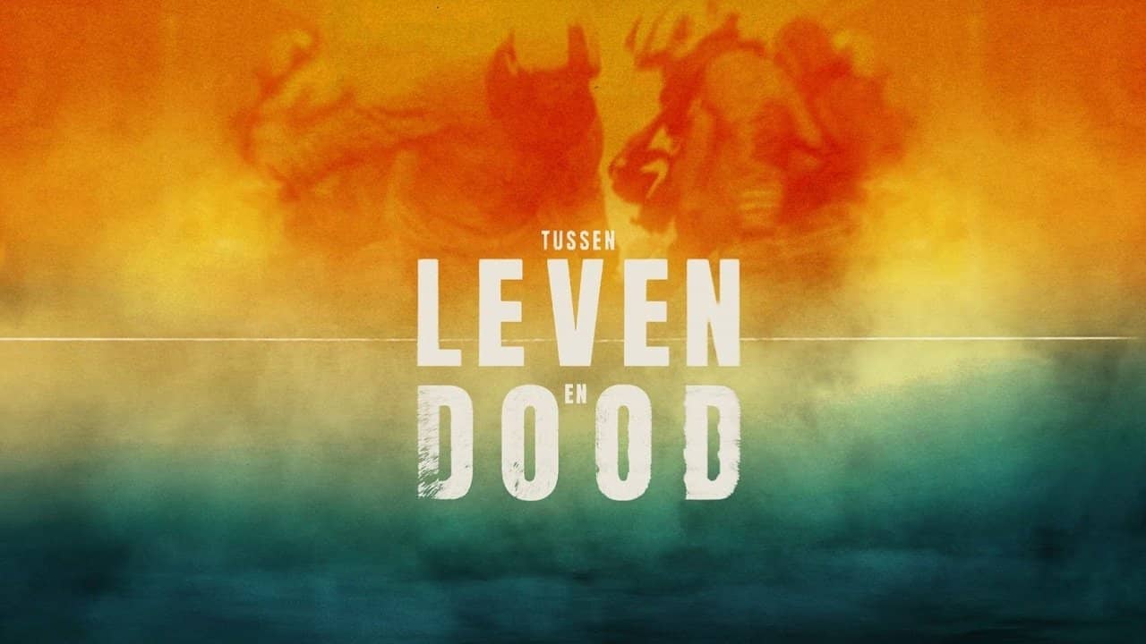 Tussen Leven en Dood backdrop