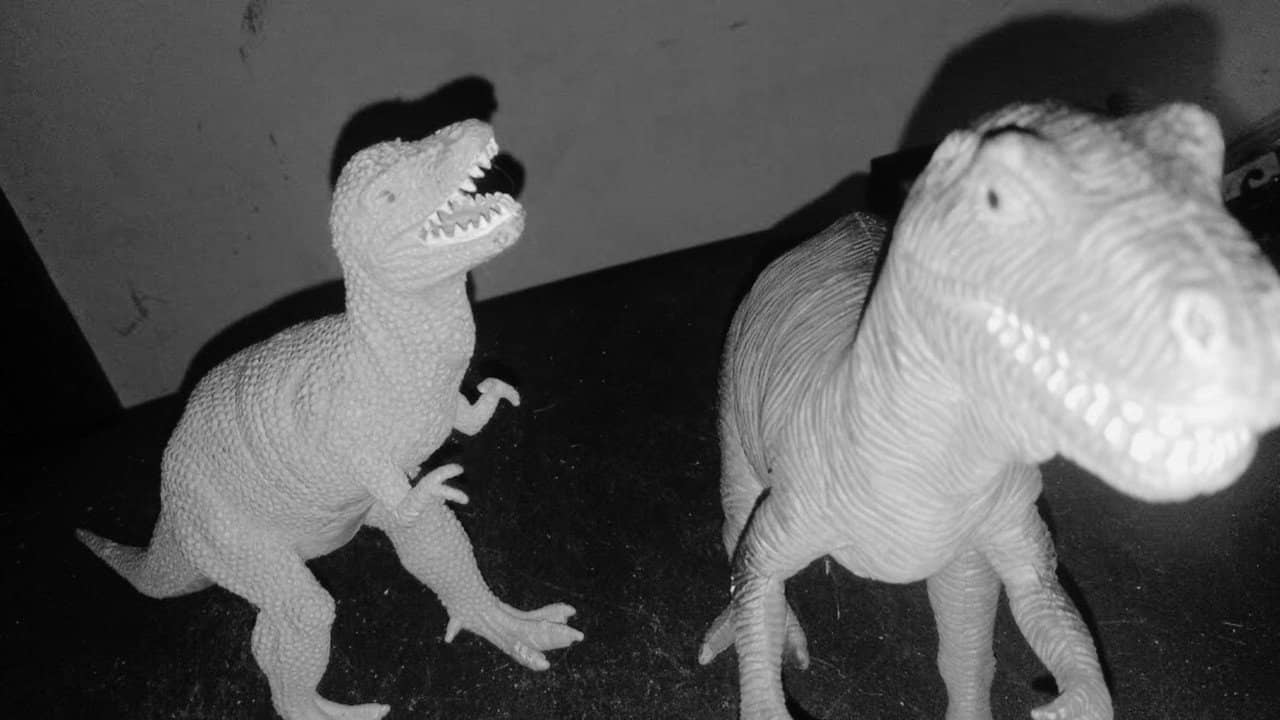 Dinosaur Farm B&W backdrop