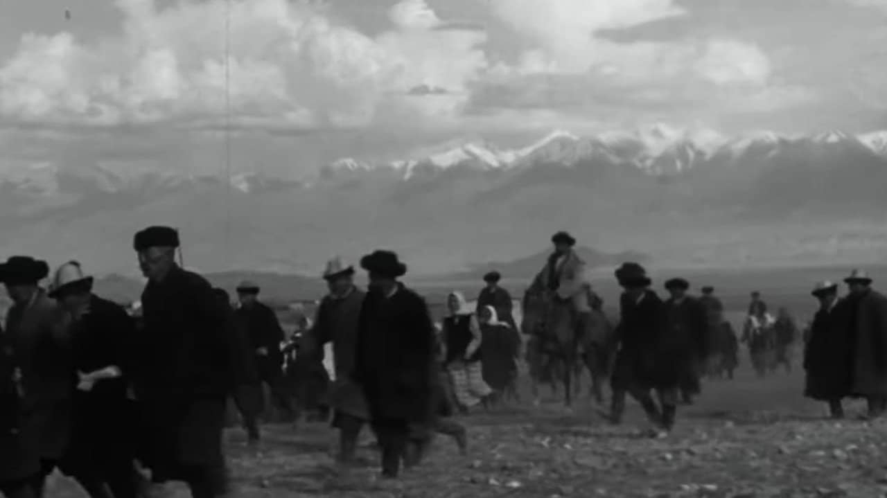 Mother's Field backdrop