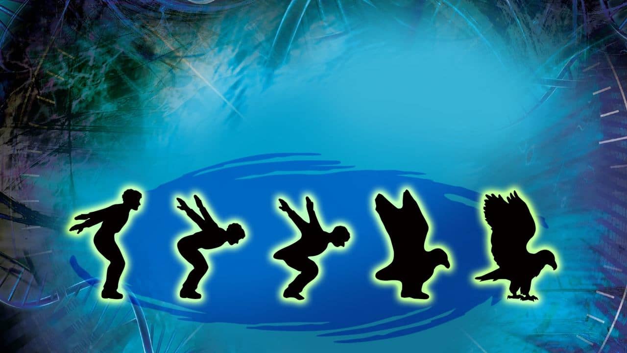 Animorphs backdrop