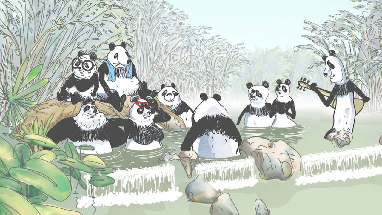 Pandas in the Mist backdrop