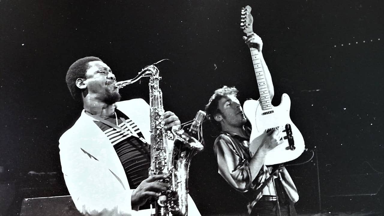 Bruce Springsteen & the E Street Band Houston '78 Bootleg: House Cut backdrop