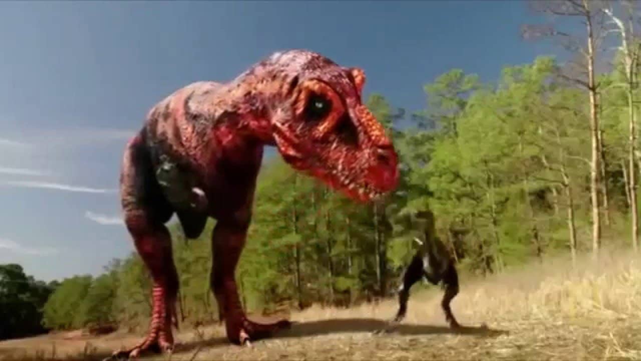 Dinosaurs Decoded backdrop