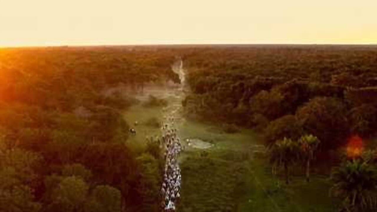 Pantanal: The Good Innocence of Our Origins backdrop
