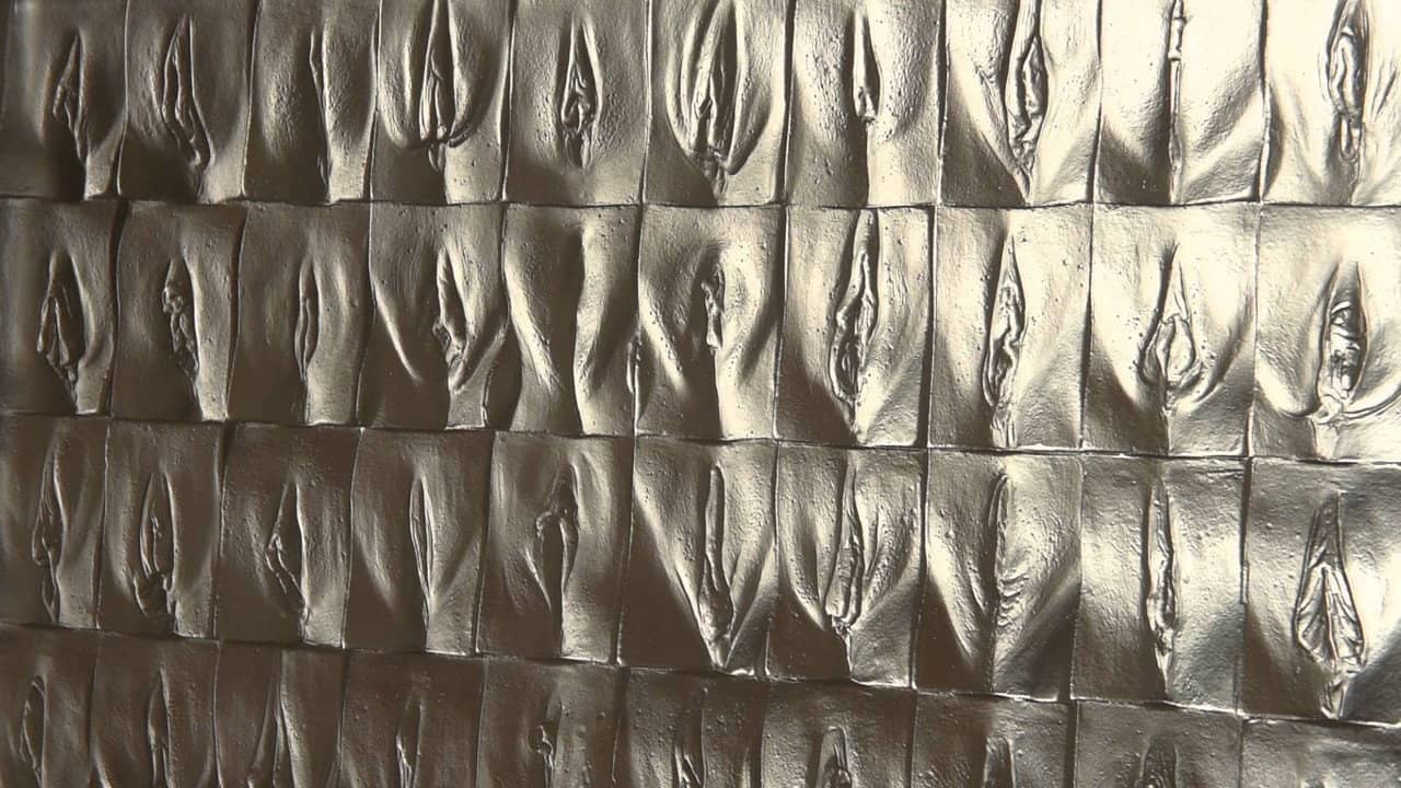The Perfect Vagina backdrop