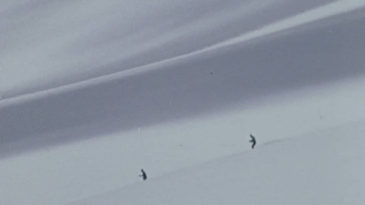 Winter Fever backdrop