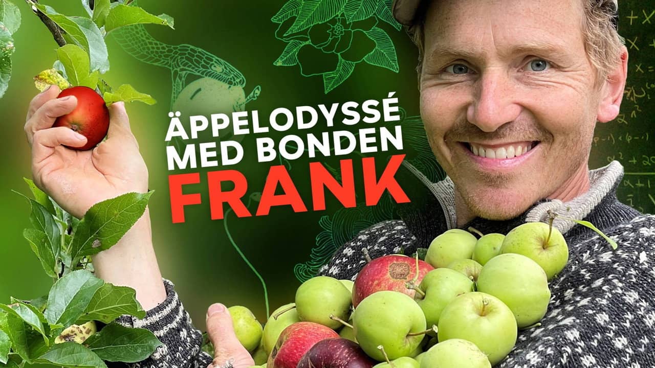 Apple picking with Frank Erichsen backdrop