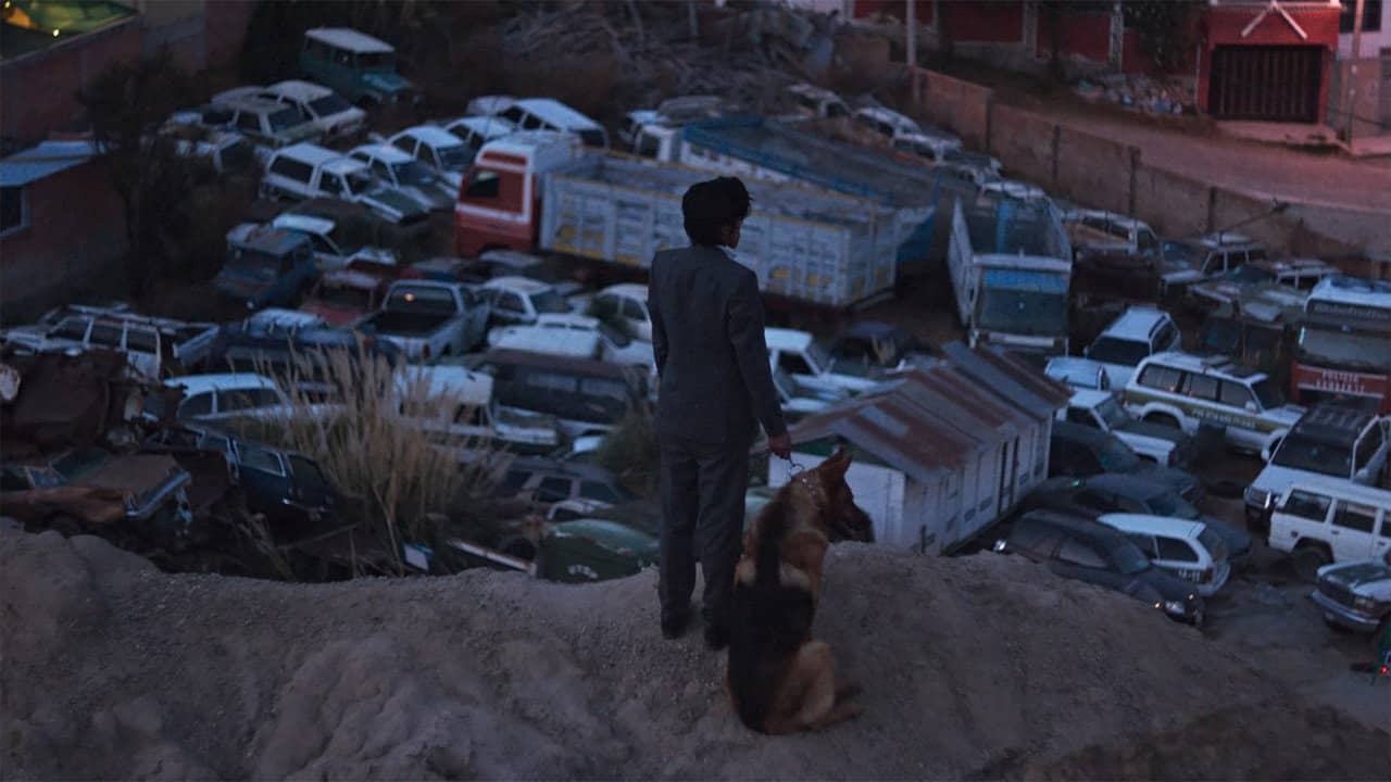 The Dog Thief backdrop