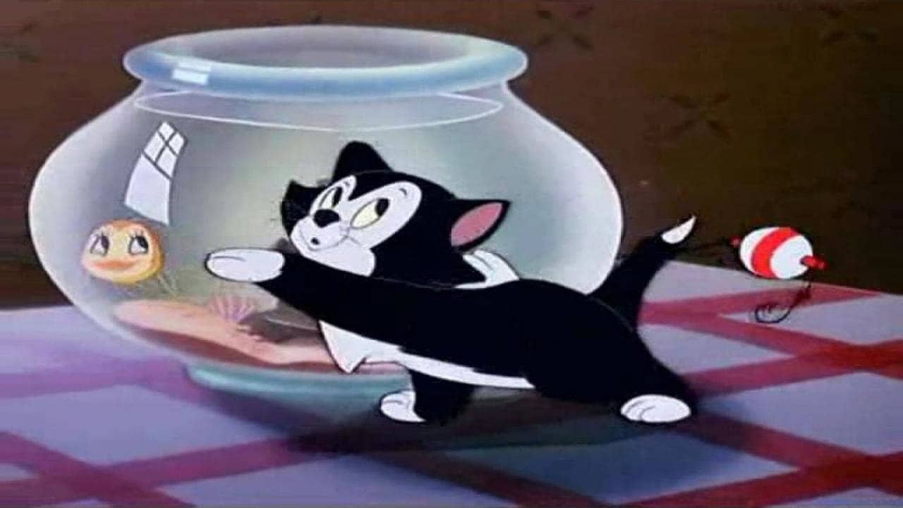 Figaro and Cleo backdrop