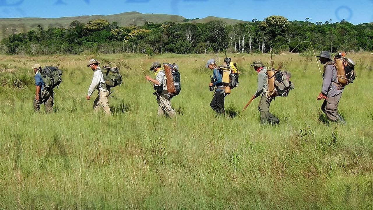 Out of the Wild: Venezuela backdrop