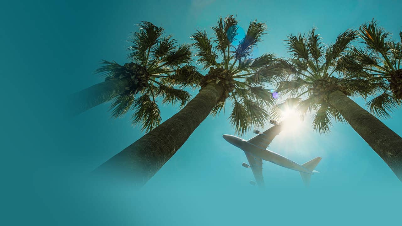 Airport 24/7: Miami backdrop