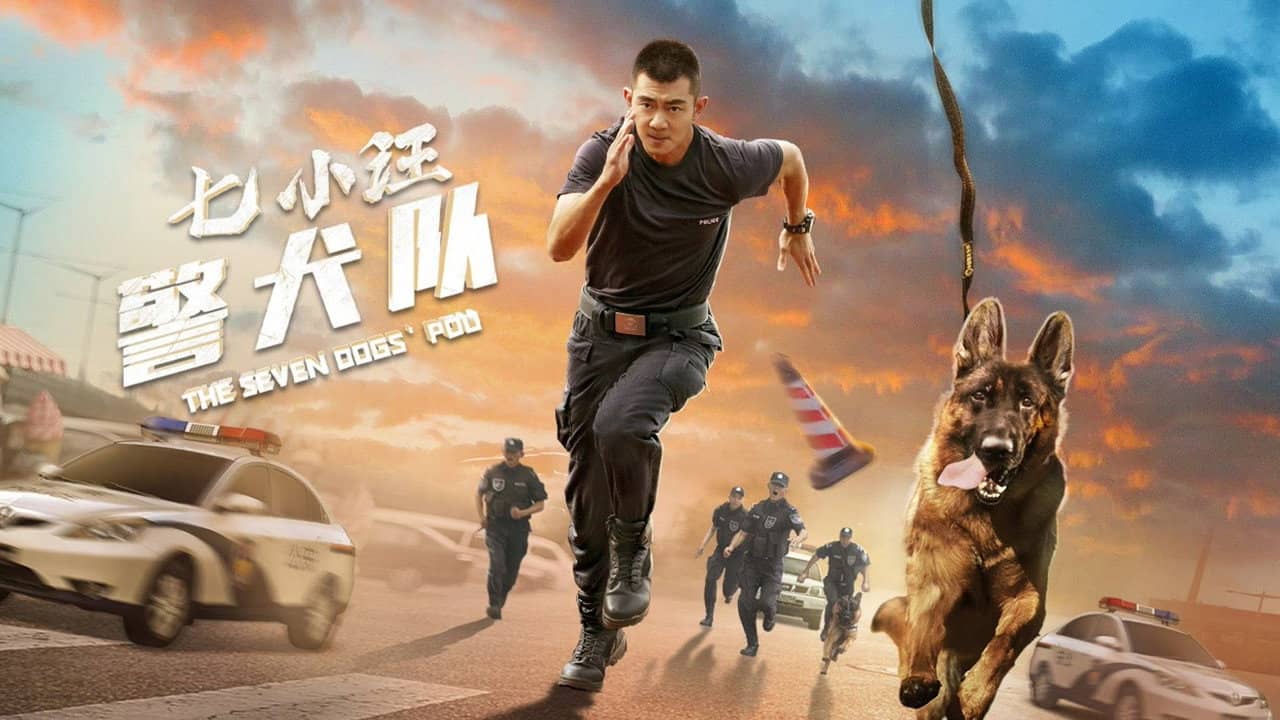 The Seven Dog's PDU backdrop