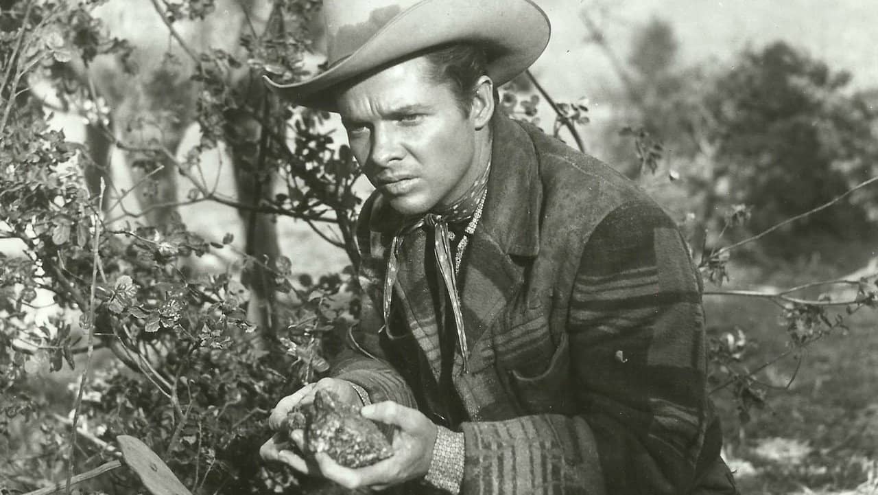 Tumbleweed backdrop