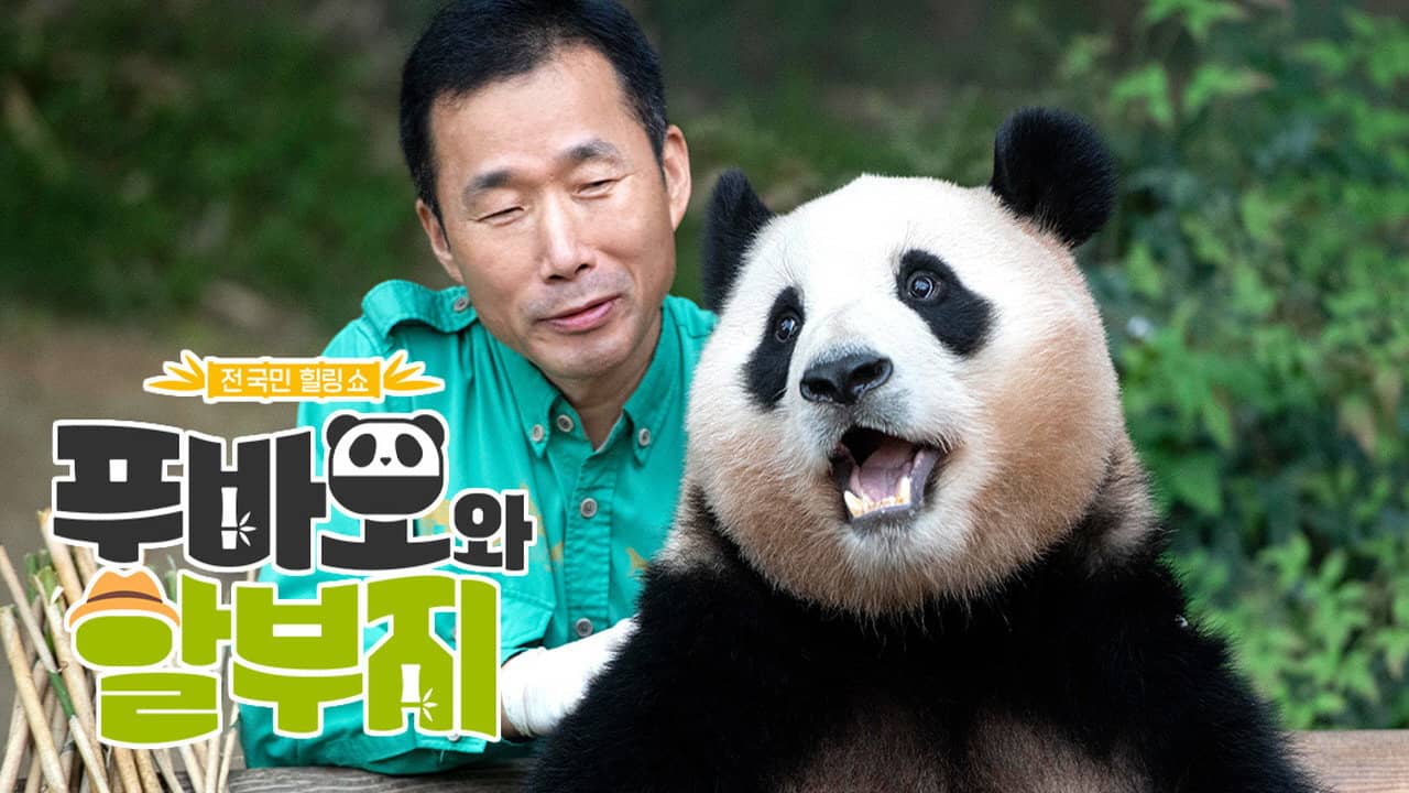 Fu Bao & Grandpa backdrop