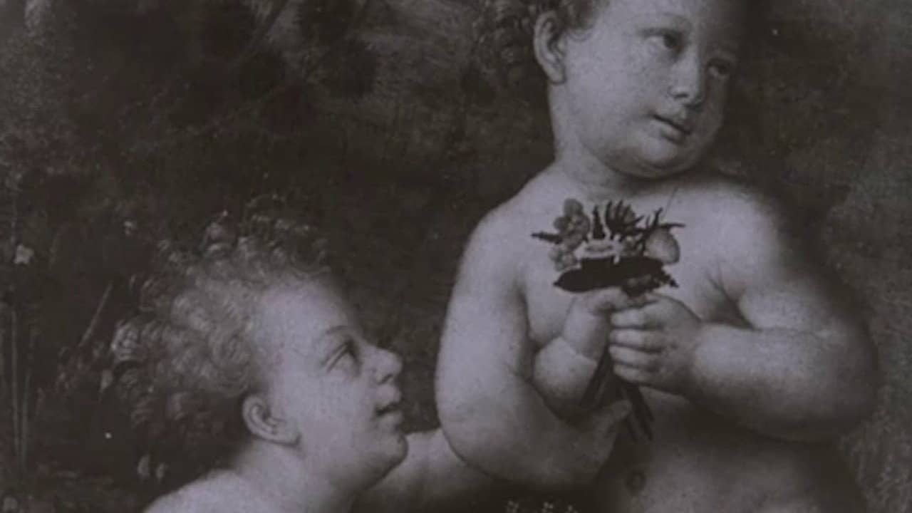 Leonardo Da Vinci The Tragic Pursuit of Perfection backdrop