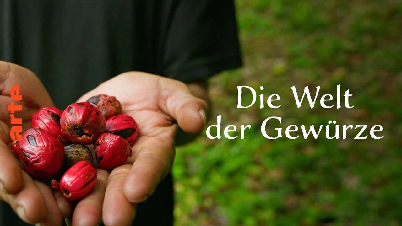 Die Welt der Gewürze backdrop