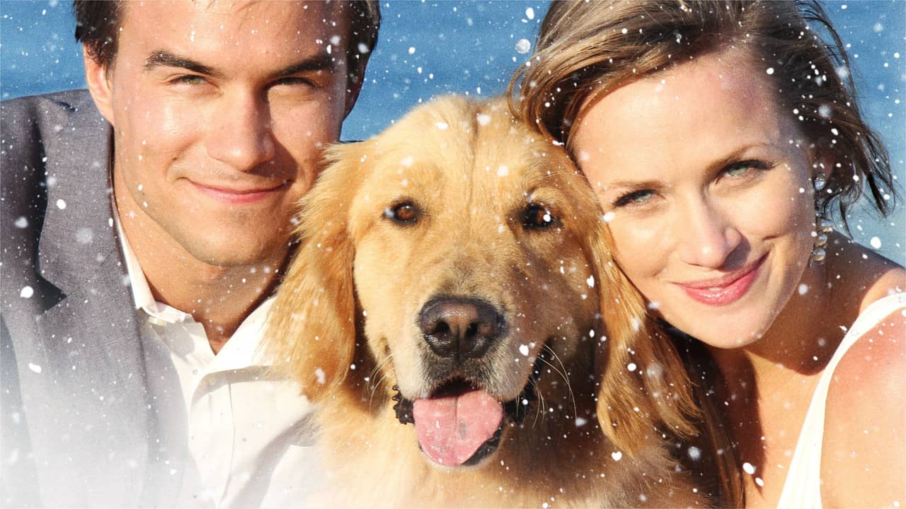 A Golden Christmas 3 backdrop