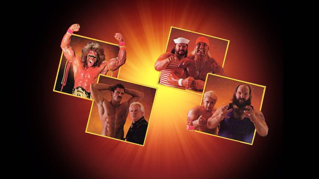 WWE SummerSlam 1990 backdrop